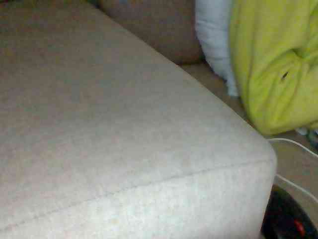 Dollie webcam