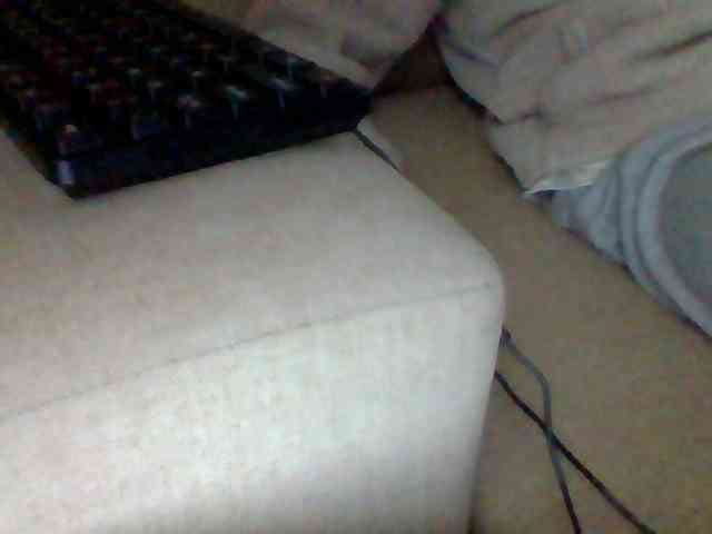 Dollie webcam