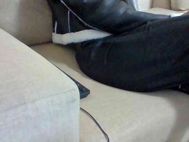 Dollie webcam