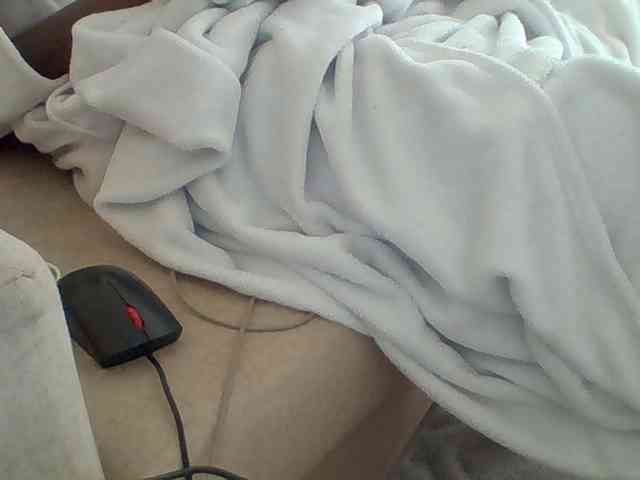 Dollie webcam