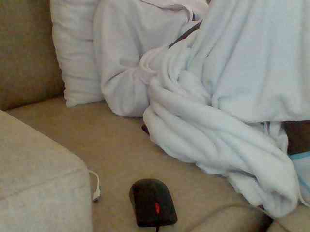 Dollie webcam