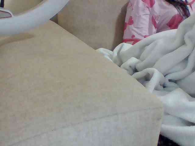 Dollie webcam