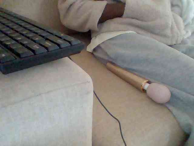 Dollie webcam