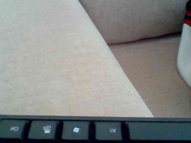 Dollie webcam