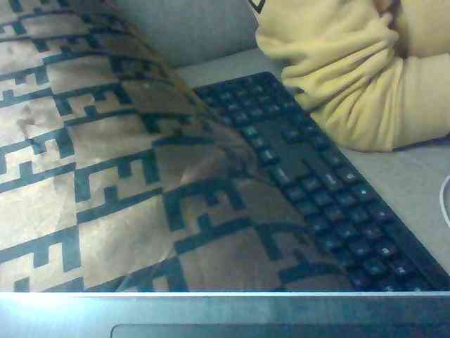 Dollie webcam