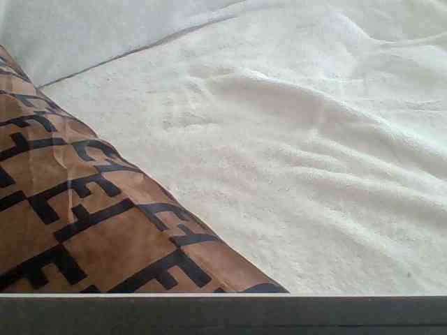 Dollie webcam