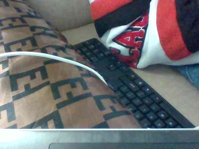 Dollie webcam