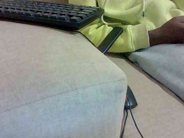 Dollie webcam
