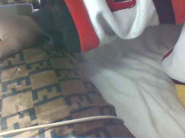 Dollie webcam