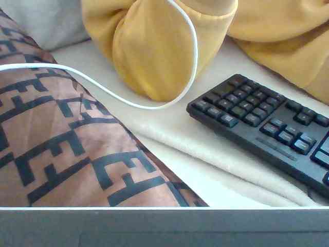 Dollie webcam