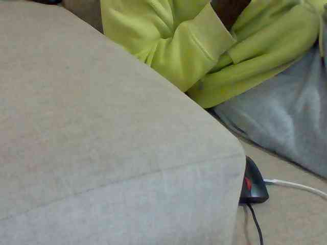 Dollie webcam