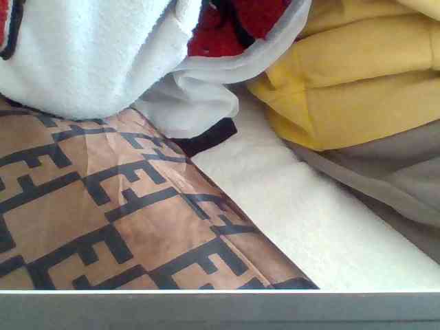 Dollie webcam