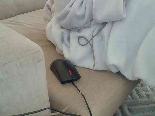 Dollie webcam
