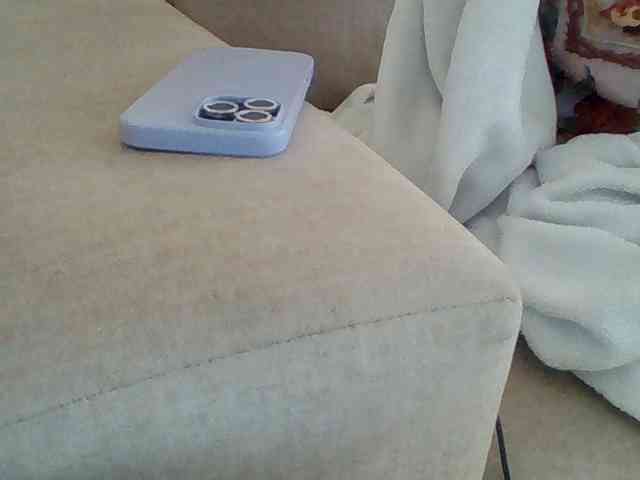 Dollie webcam