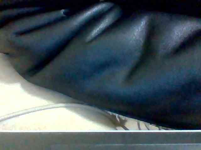 Dollie webcam