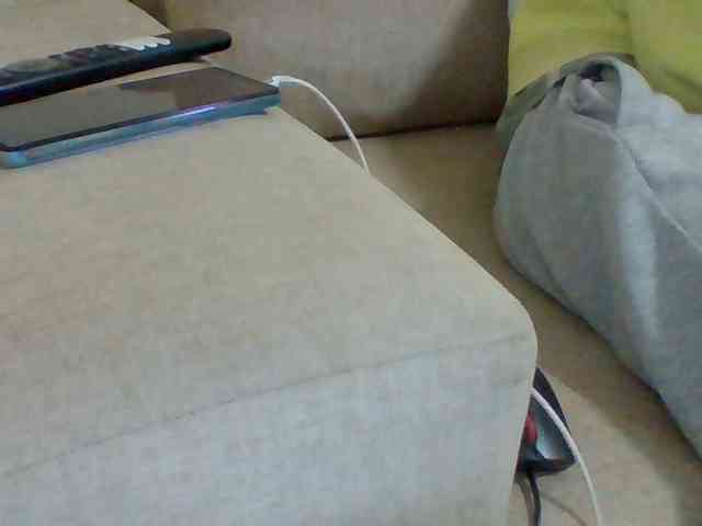 Dollie webcam