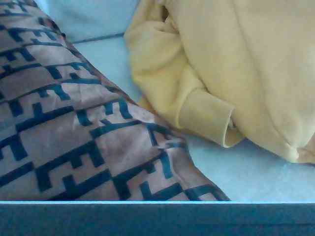 Dollie webcam
