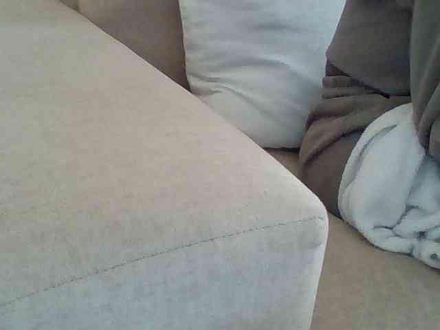 Dollie webcam