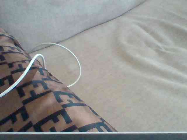 Dollie webcam