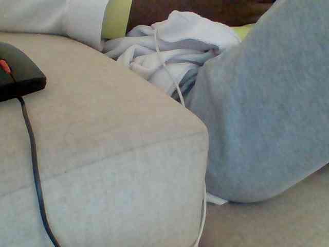 Dollie webcam