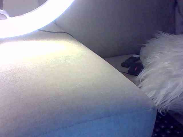 Dollie webcam