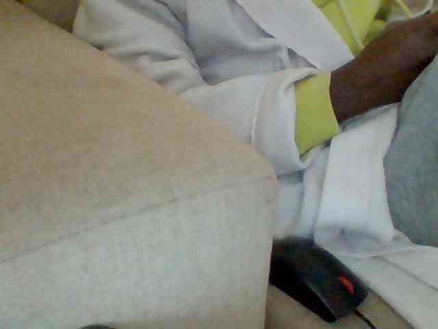 Dollie webcam