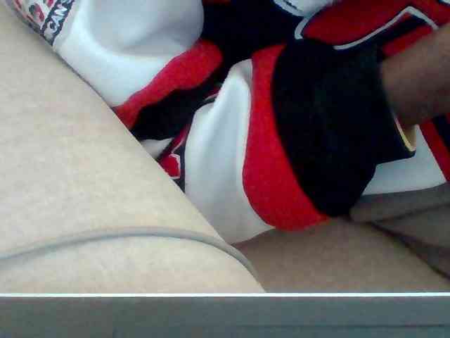 Dollie webcam