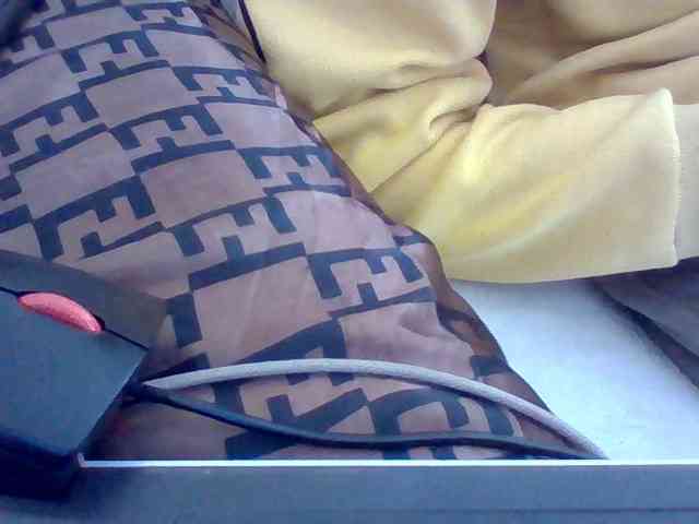 Dollie webcam