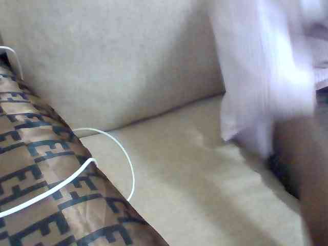 Dollie webcam