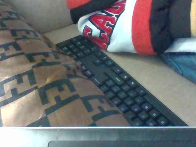 Dollie webcam