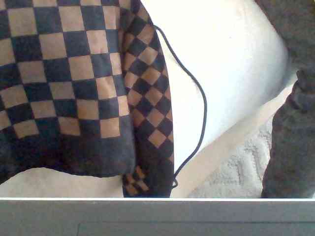Dollie webcam