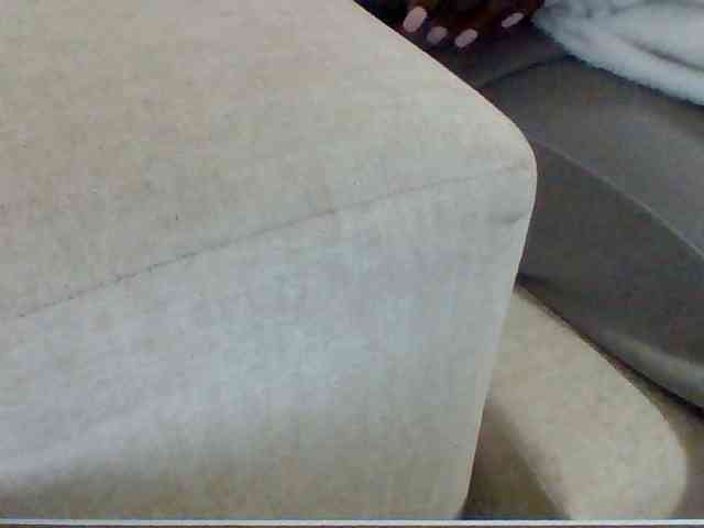 Dollie webcam