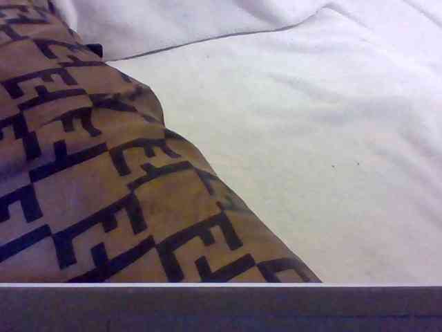 Dollie webcam