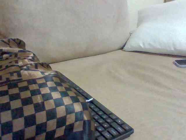 Dollie webcam