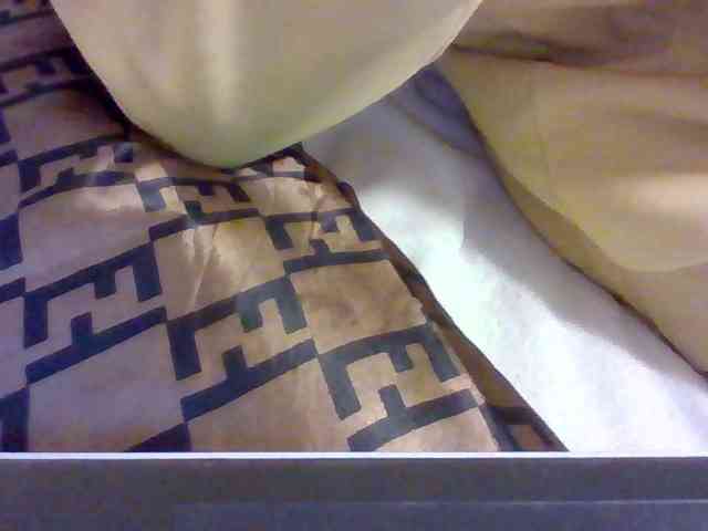 Dollie webcam