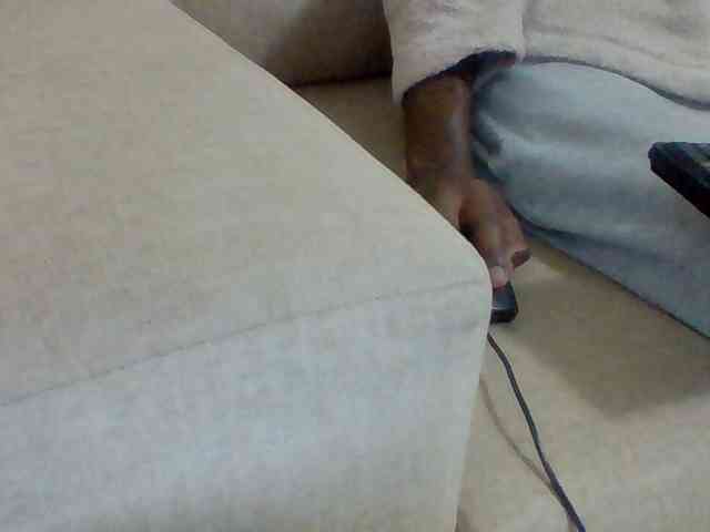 Dollie webcam