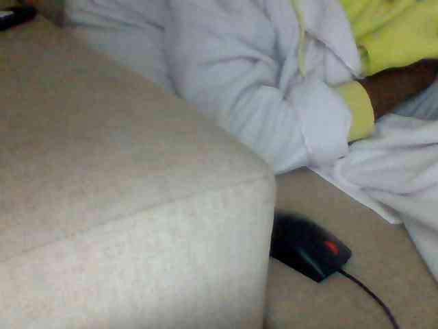 Dollie webcam