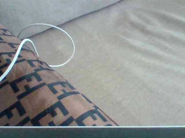 Dollie webcam
