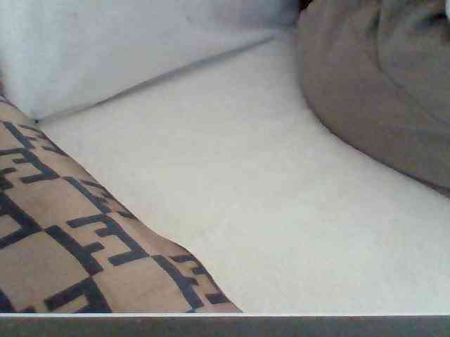 Dollie webcam