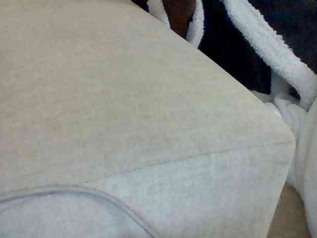 Dollie webcam
