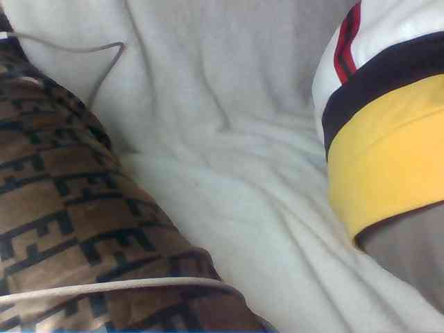 Dollie webcam