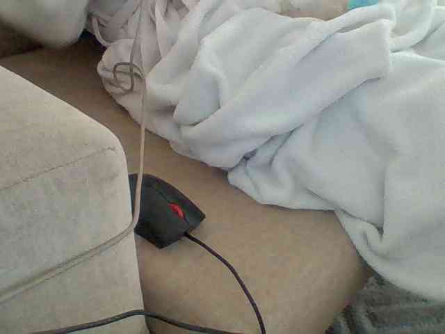 Dollie webcam