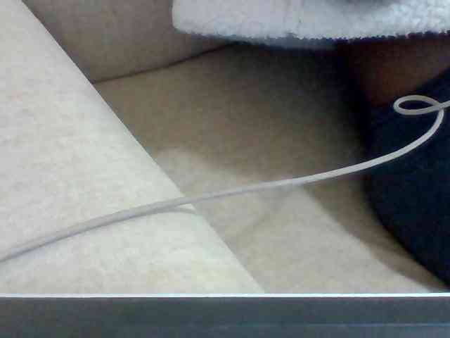 Dollie webcam