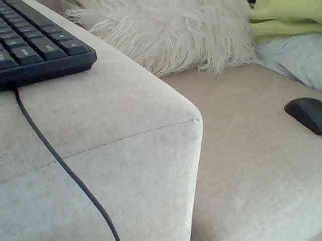 Dollie webcam