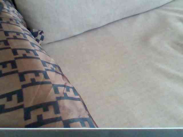 Dollie webcam