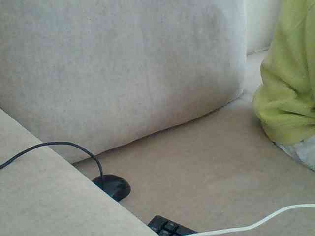 Dollie webcam