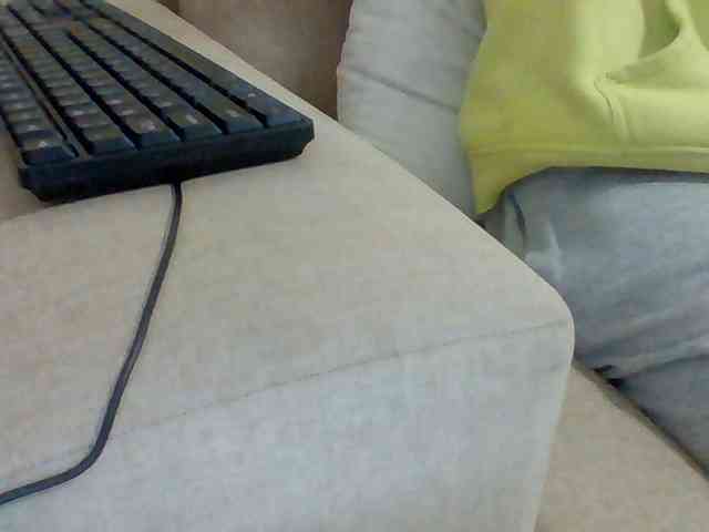 Dollie webcam