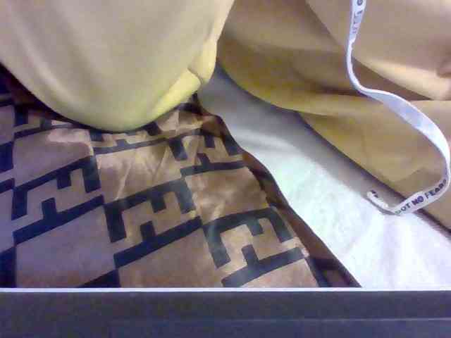 Dollie webcam