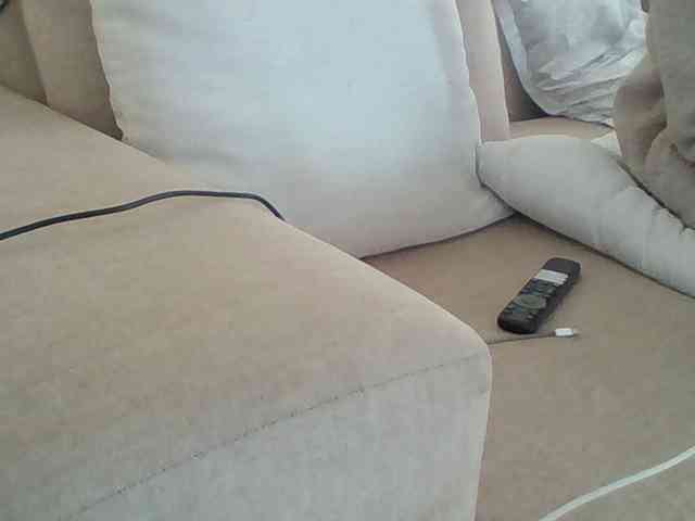 Dollie webcam