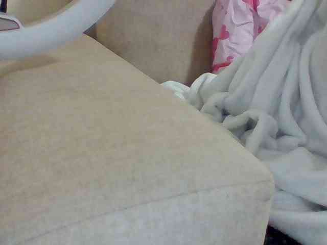 Dollie webcam